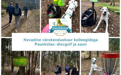 Kevadine värskenduskuur kolleegidega Paunkülas: discgolf ja saun
